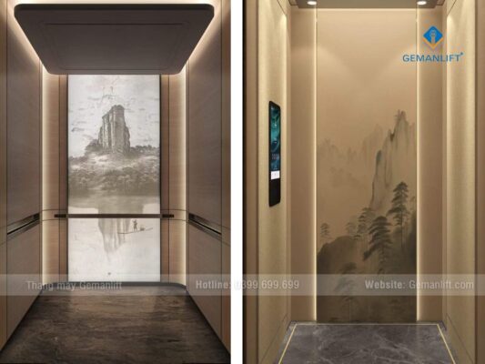 mẫu cabin thang máy biệt thự sân vườn gemanlift